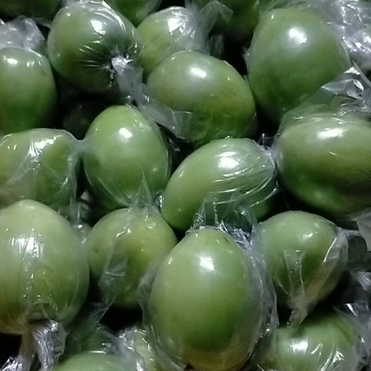 平南县青枣  广西平南县蜜丝枣己经大量上市了