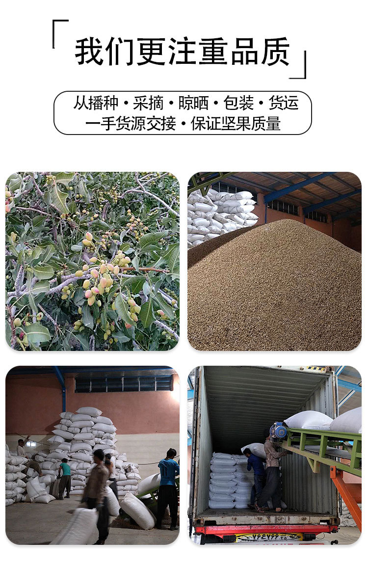  原色原味开心果