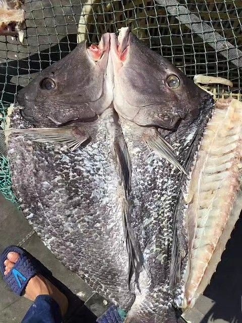 琼海市辣鱼干 海产