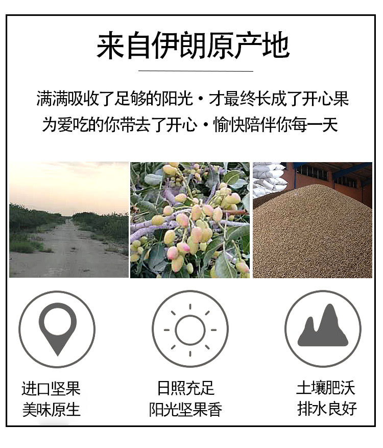  原色原味开心果