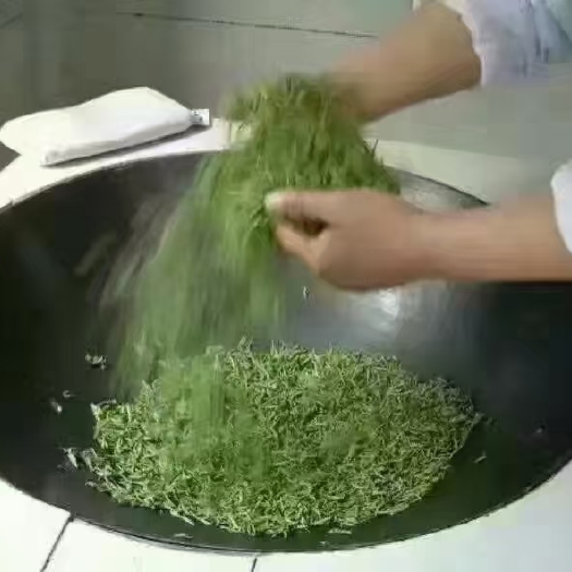 雅安毛尖茶  绿茶种植基地直供