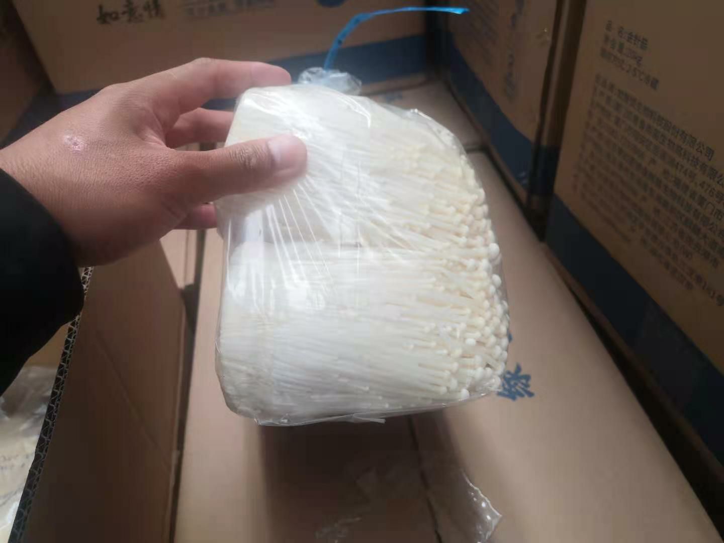 白金针菇  如意情厂家直销精品金针菇