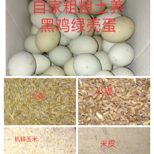 盐城绿壳蛋  农家小院散养绿壳土鸡蛋