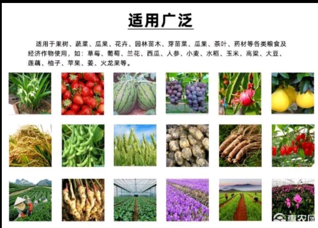 高纯度磷酸二氢钾含量99%促花保果 彭果上色 增产提质
