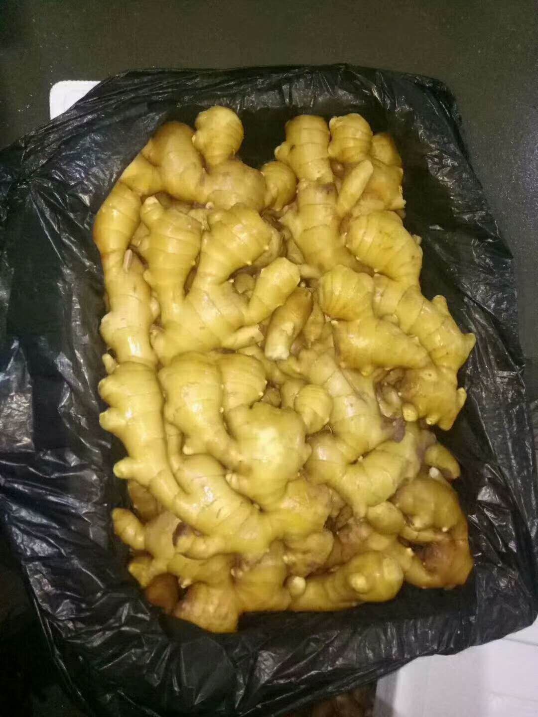 生姜  常年供应（大黄姜、二黄姜、小黄姜）（姜种）规格齐