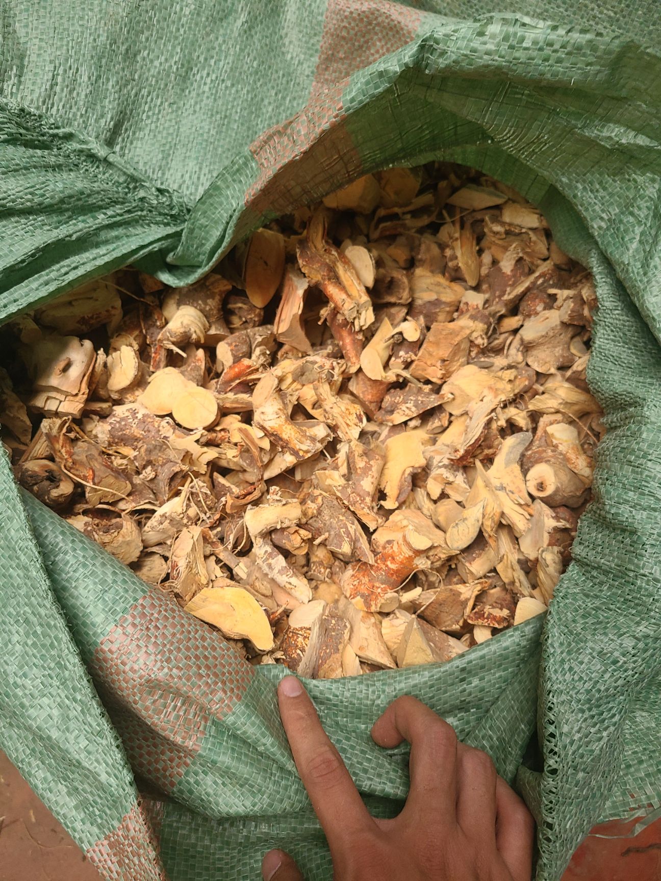 五指毛桃 五指毛桃头粒 大头 足干 货靓 颜色好