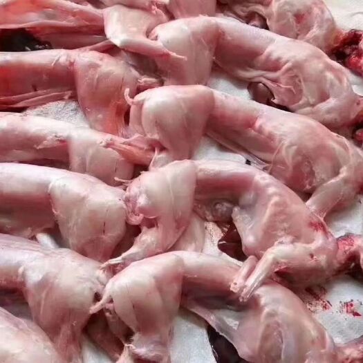 兔肉类  干货