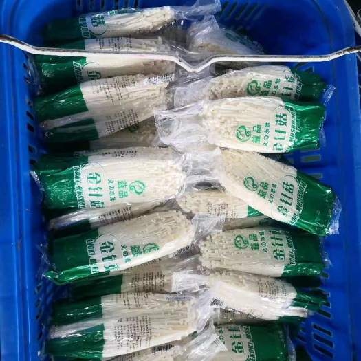 白金针菇  如意情厂家直销精品金针菇