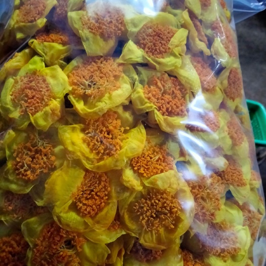 金花茶防城港本地品种纯手工烘干花精品自产自销