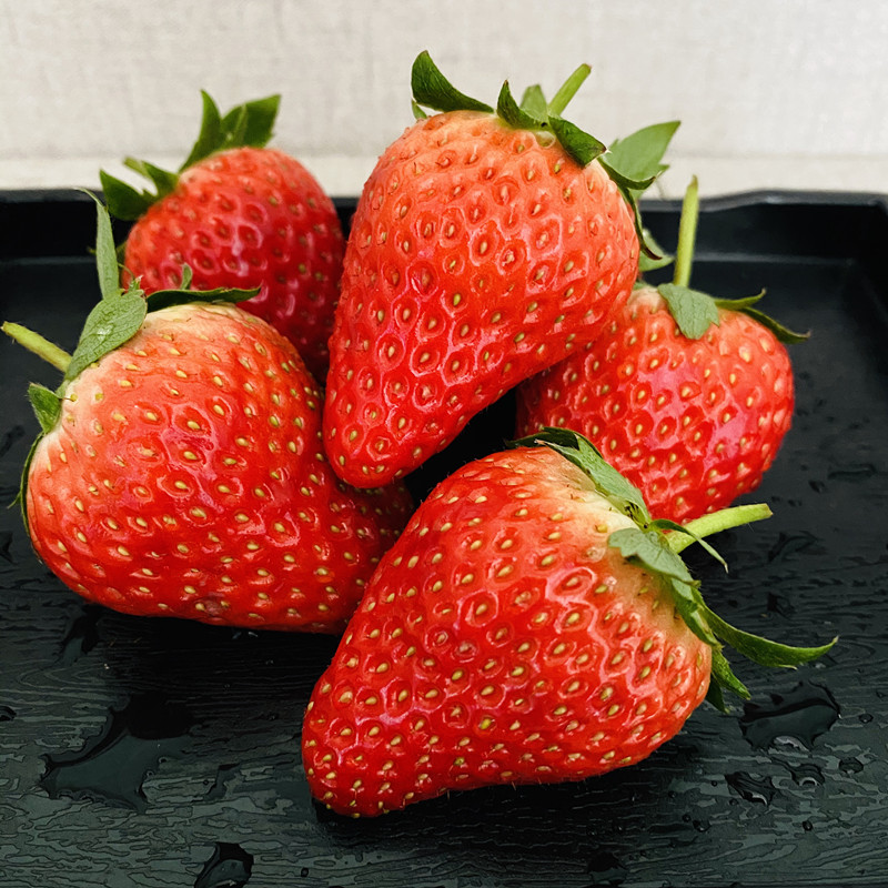 『丹东99久久草莓』顺丰空运红颜奶油牛奶新鲜水果东港九九大