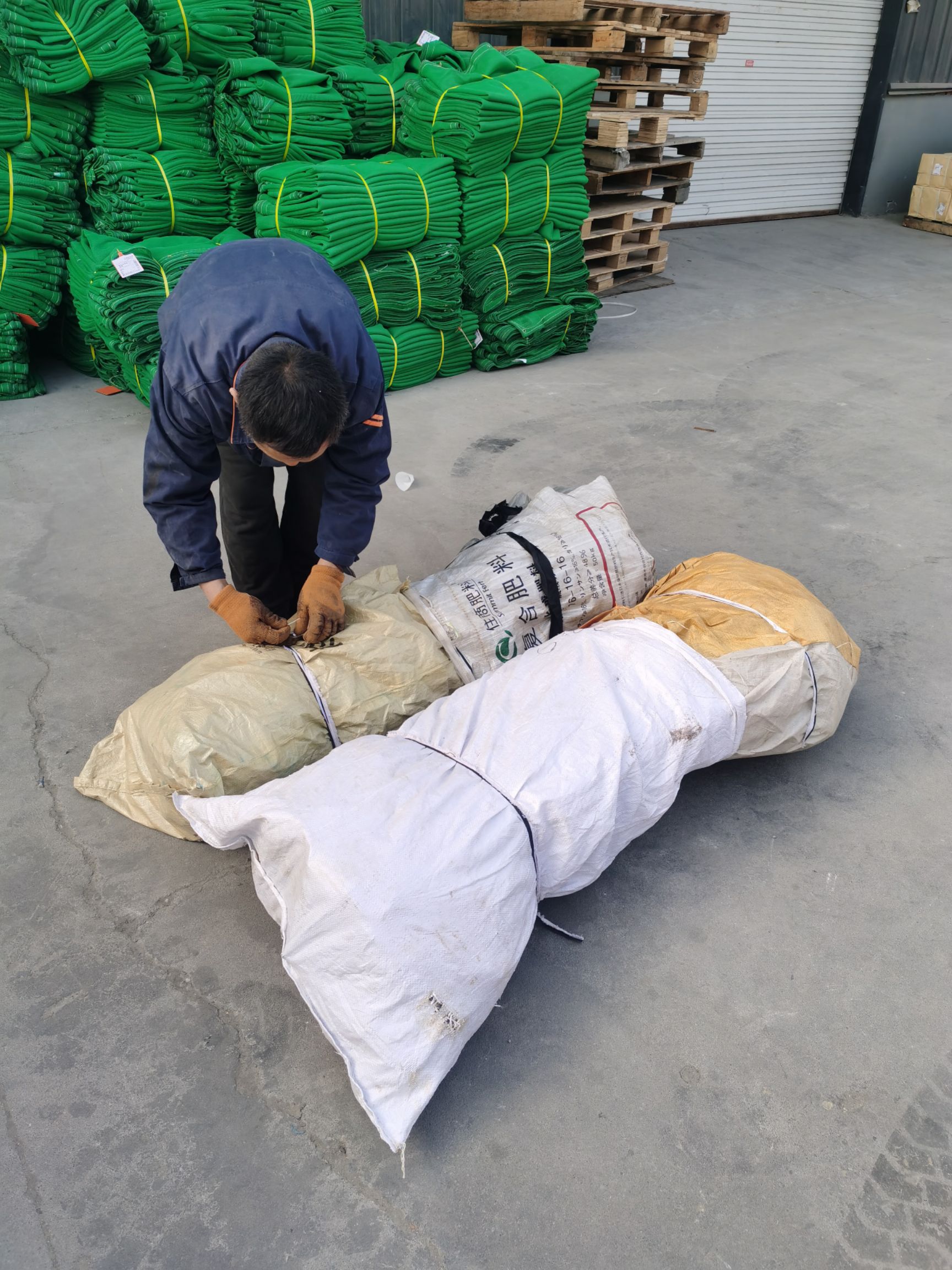 布鲁克斯樱桃树苗  吉塞拉矮化大樱桃品种齐全，专业培育吉塞拉