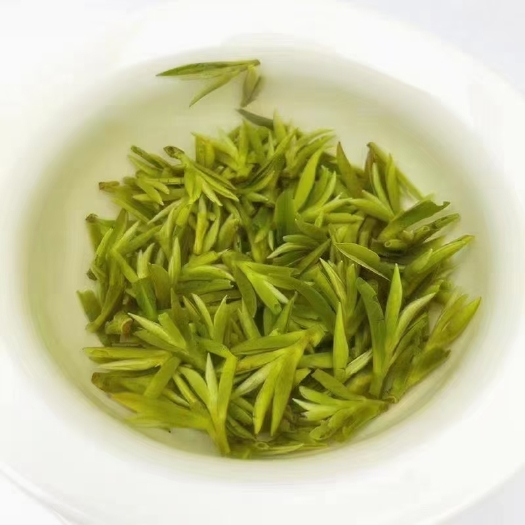 雅安毛峰茶  种植基地厂家直供