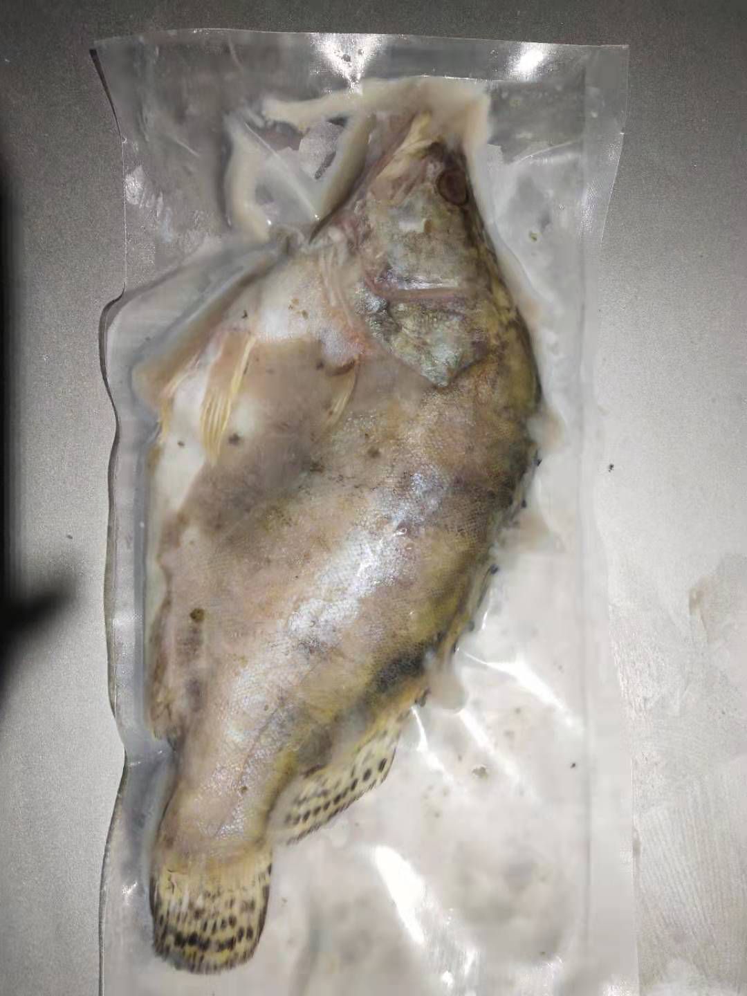 鳜鱼 臭桂鱼，