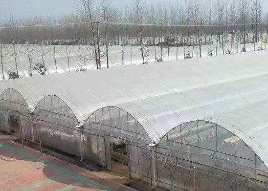 大棚管  农业大棚  种植棚   联动大棚