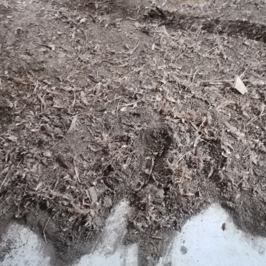六安稻壳鸡粪