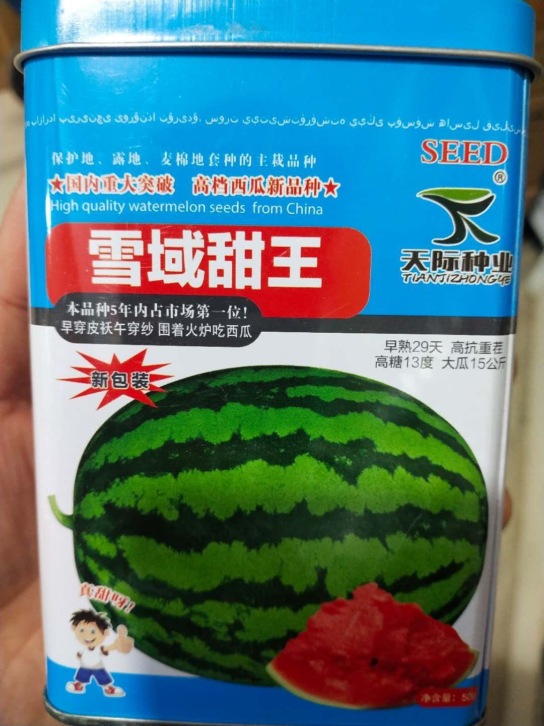 西瓜种子， 西瓜新品种，早熟29天，绿皮墨绿条带，大红瓤