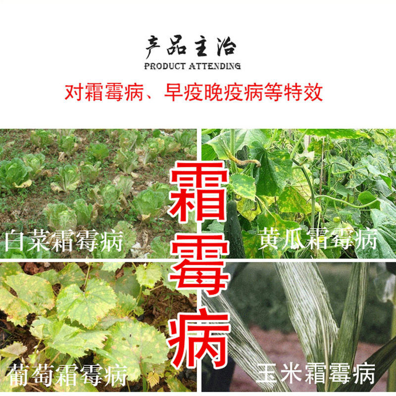 疯狂58％甲霜锰锌农药霜霉疫病土豆白锈蔬菜黄瓜杀菌剂