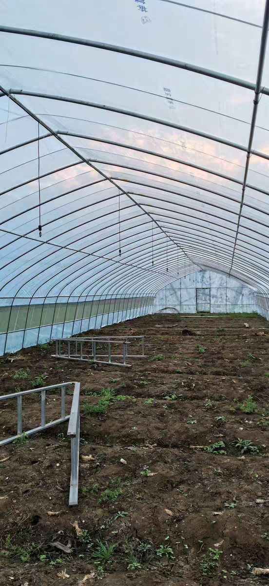 大棚骨架   热镀锌管  质保十年  可货到付款