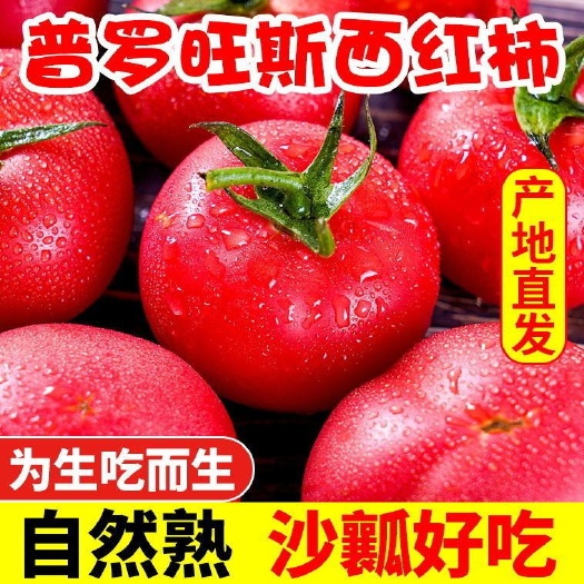 陕西泾阳优质普罗旺斯西红柿新鲜直达电商平台