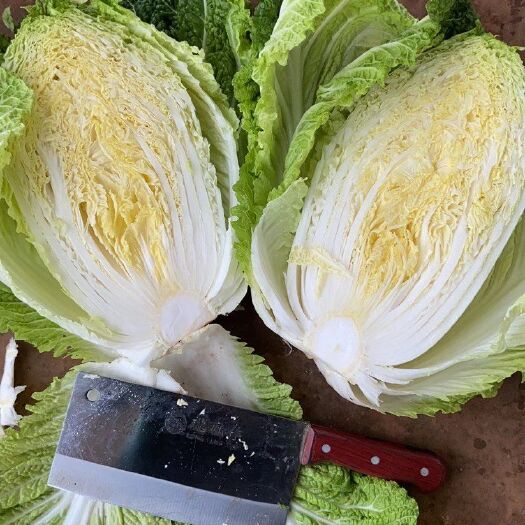 陆良县黄心大白菜  大白菜