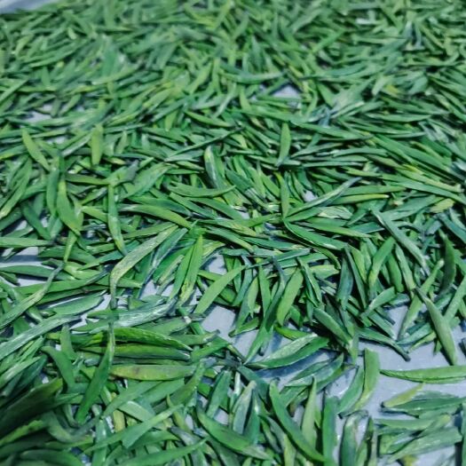 雅安绿茶 自家131茶看上的老板联系