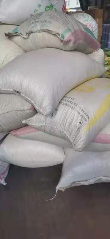 山楂种子。处理好的山楂种子。芽率有保障。