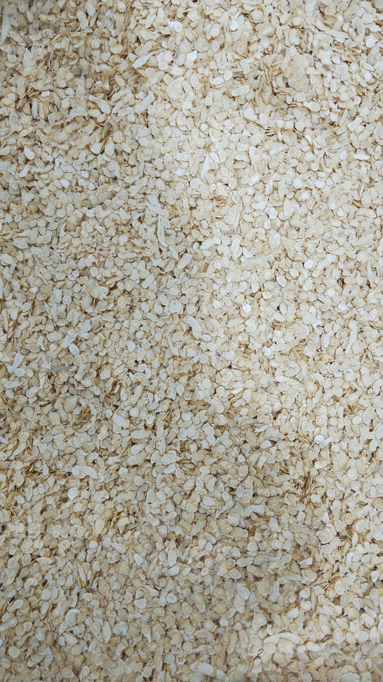 东北当地纯软支无硫西洋参片 最小片 产地批发 一手货源