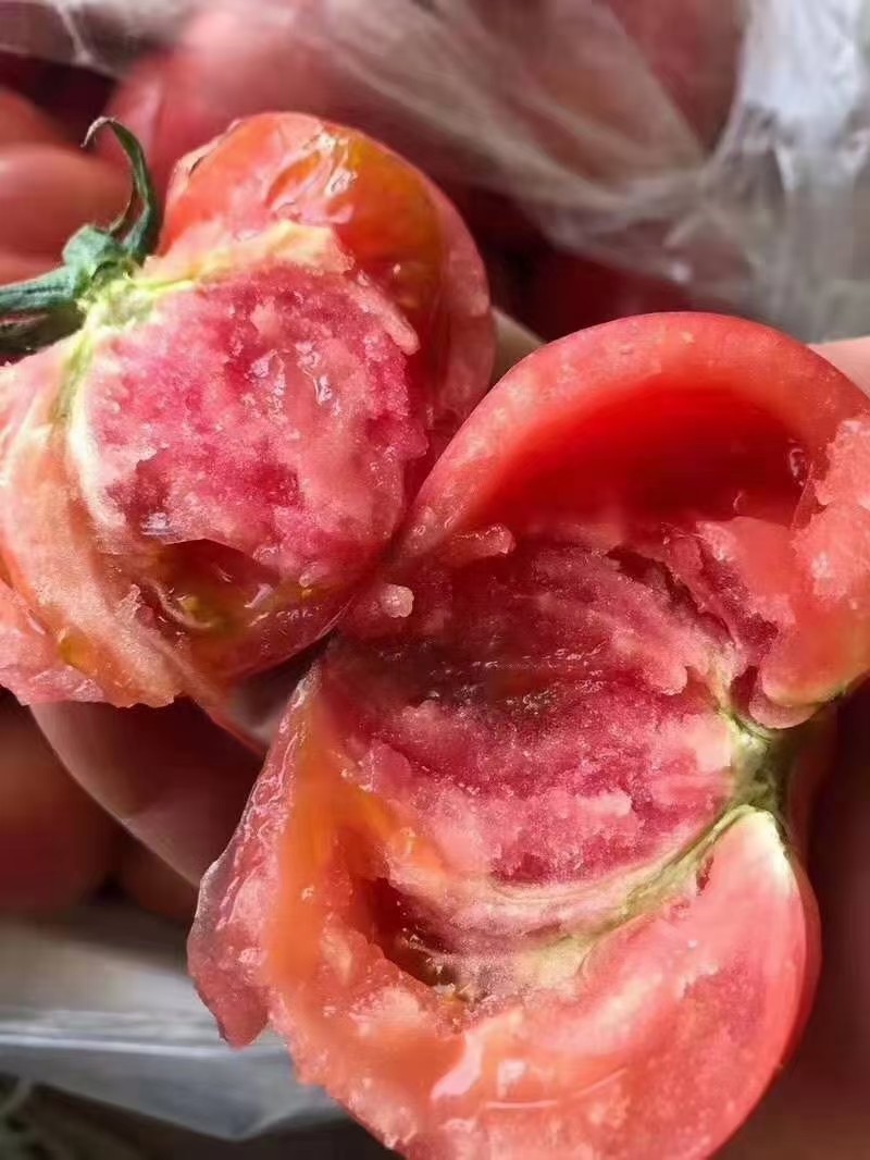 普罗旺斯番茄  正宗普罗旺斯西红柿，番茄