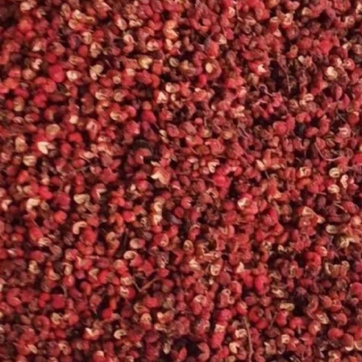 中牟县红花椒  新货陕西韩城花椒批发花椒粒花椒粉火锅花椒