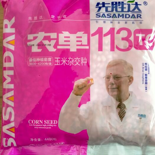滨州农单113玉米种子  农单113.红轴.大棒.脱水快.抗倒.大棒型玉米