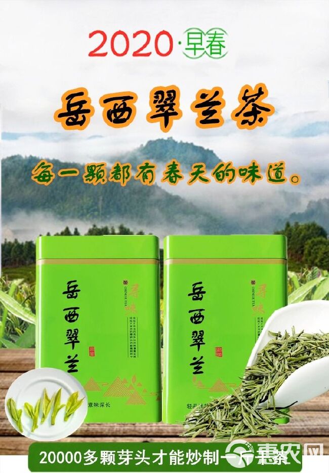  岳西翠兰茶叶2020明前春茶新茶安徽安庆绿茶高山云雾茶清香型