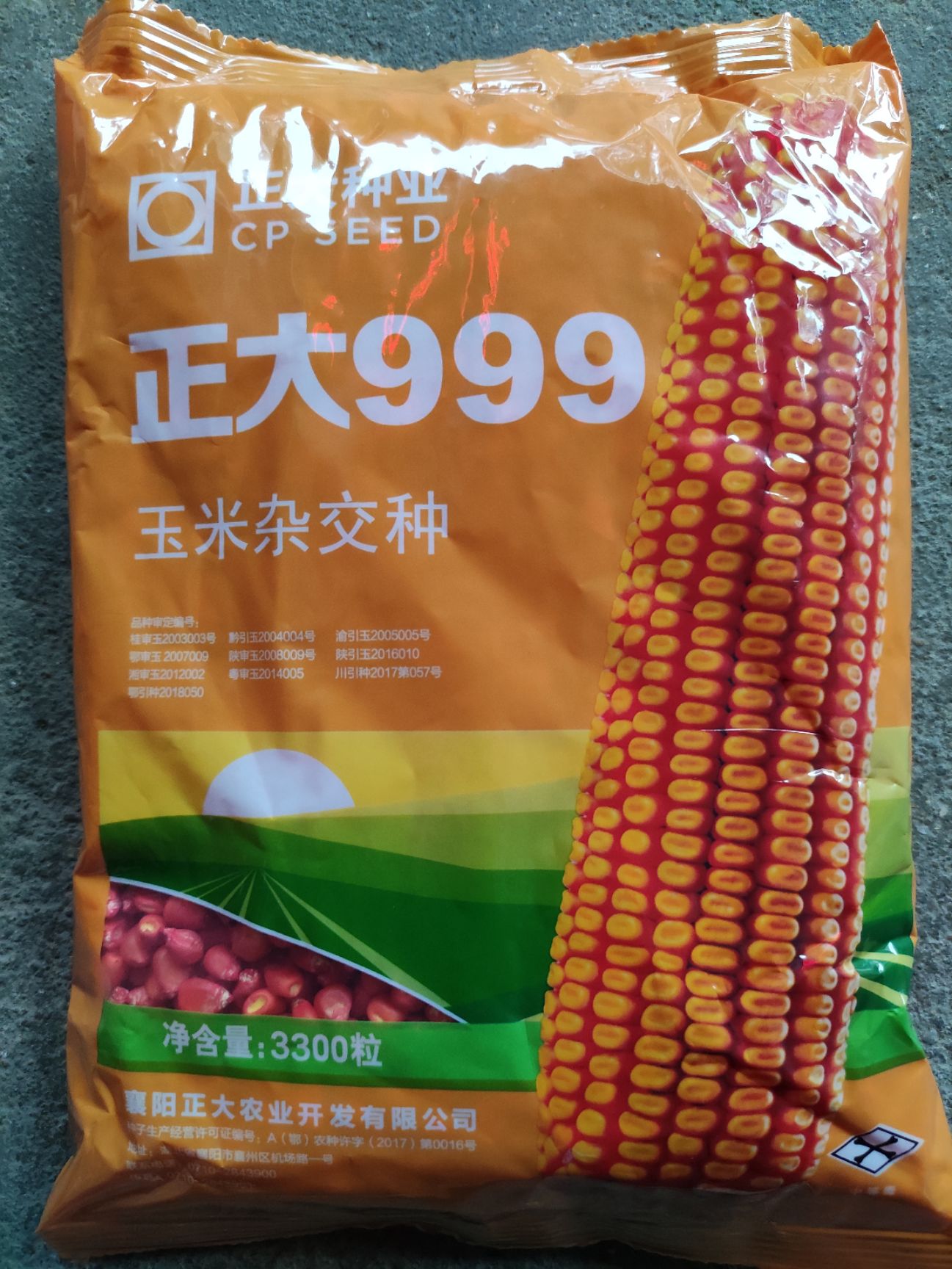 正大999玉米种子 高产玉米杂交种子正大999抗病硬玉米土玉米鸡吃玉米