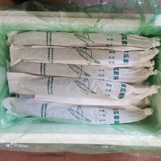 喀左县种植套袋  黄瓜套袋能使黄瓜非常有效降低农药残留，提高口感提高质量