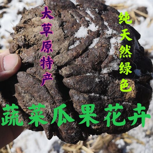 阿荣旗内蒙古呼伦贝尔大草原自然放养羊粪块