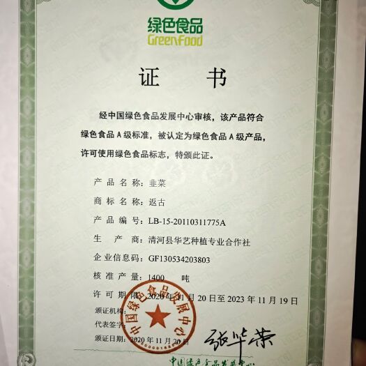 清河县大叶韭菜 精品绿色韭菜，头刀，精心培育，吃了不烧心