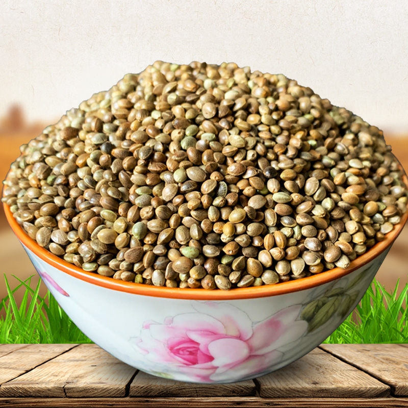 火麻籽 火麻仁  大颗粒火麻子仁鸟粮饲料粮鸽粮饲料5斤包邮烧