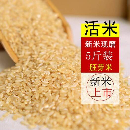 沈阳糙米散装杂粮米粗粮胚芽糙米饭五谷杂粮饭健身餐糟米东北糙米包邮