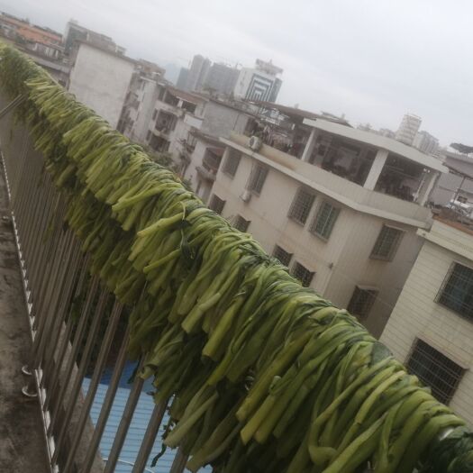 连州市菜苔 连州菜心干