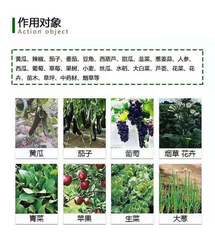 大量元素肥料  A大量元素水溶肥