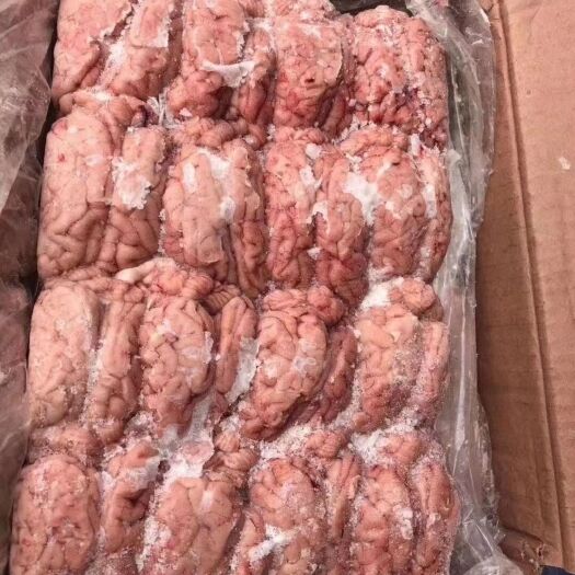 沂南县猪脑 精品脑花