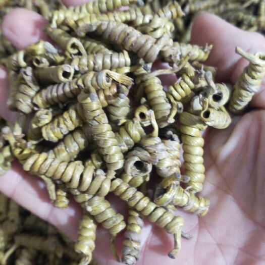 玉龙县铁皮石斛胶汁满满泡茶打粉