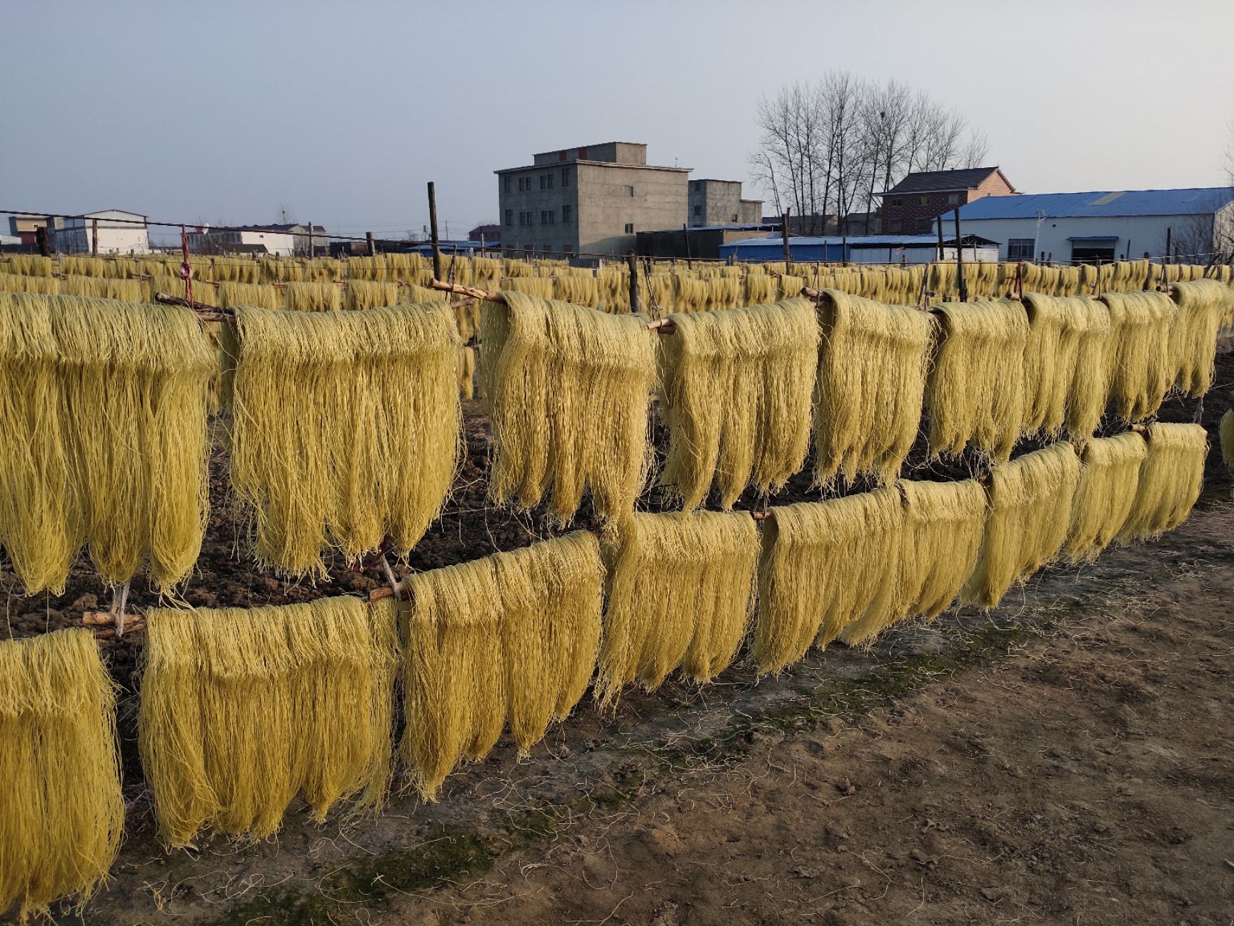木薯粉条  木薯粉丝   牛肉汤专用粉丝