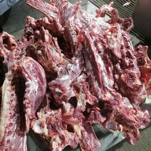 宁津县鲜马肉 现杀现宰的马蠍子骨大量供应一手货源价格美丽欢迎选购