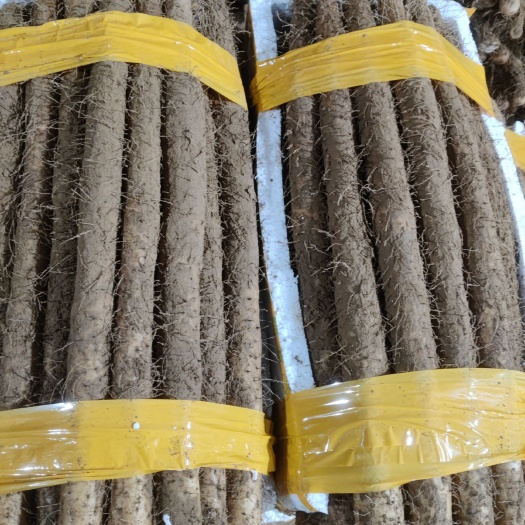 杭州毛山药 货好