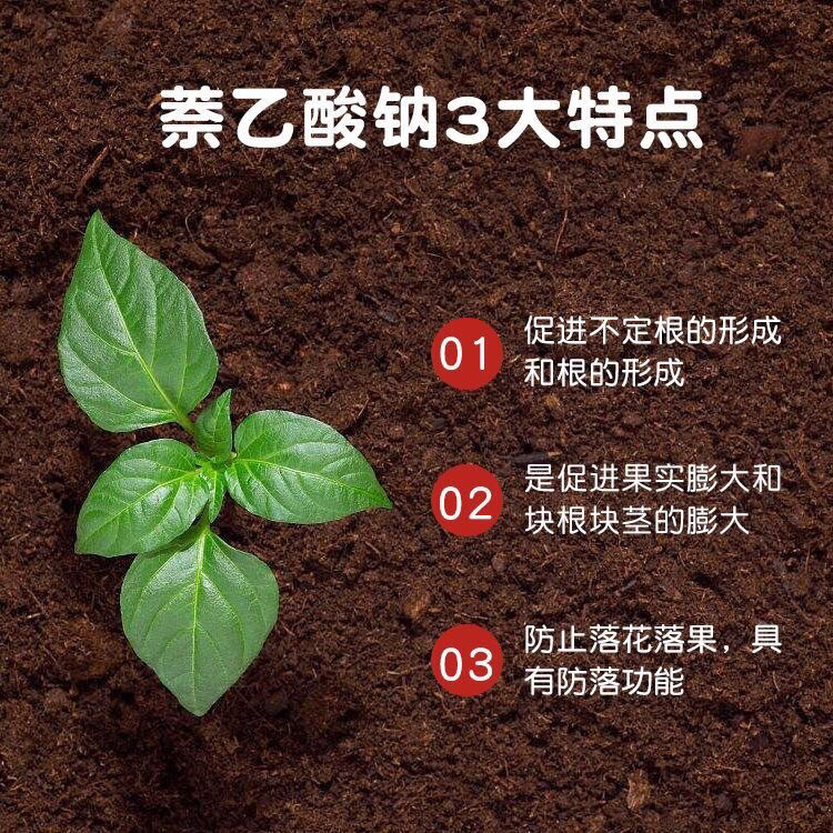 间接肥料 现货供应萘乙酸钠 植物调节剂 98%含量 萘乙酸钠 质优价廉