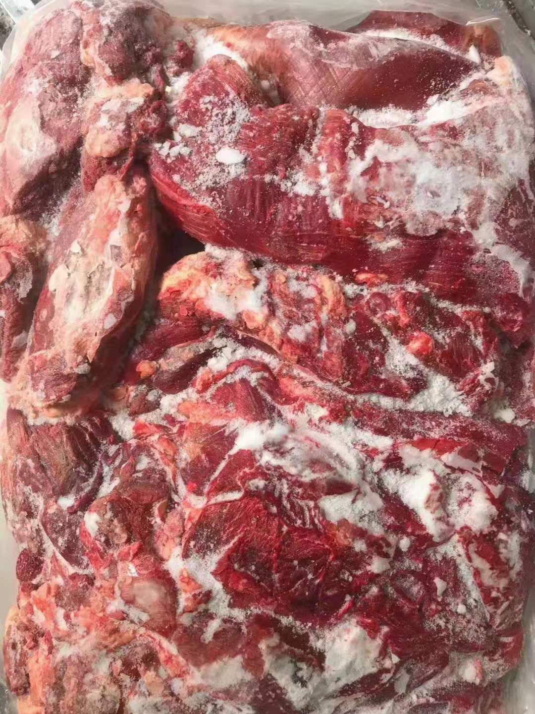 大量出蒙古精修马肉