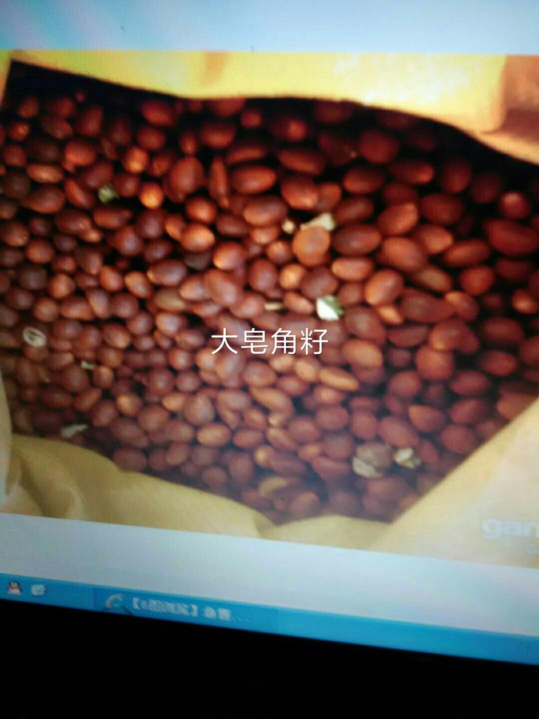 皂角米        优质皂角、皂荚