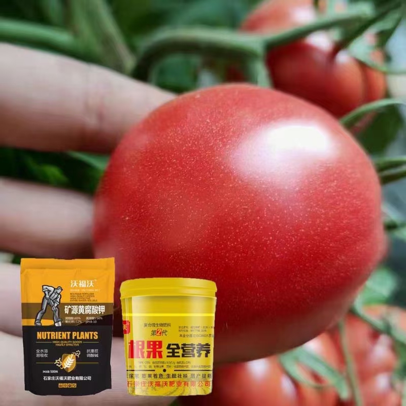 矿源黄腐酸钾，适合任何作物，厂家直供