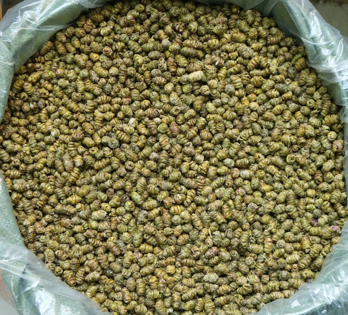 AAA特级铁皮石斛