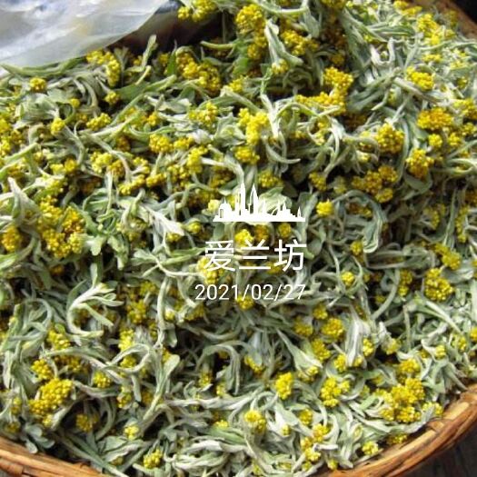 灵川县山野菜 大量供应野菜